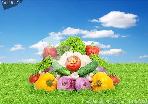 Image of Assorted fresh vegetables 
