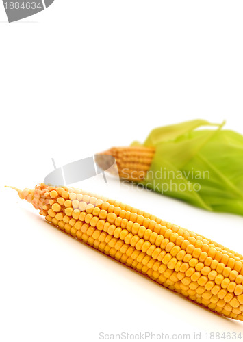 Image of Corn