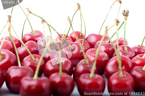 Image of Red cherries