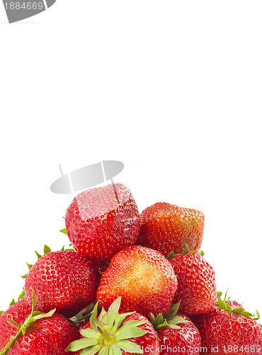 Image of Fresh strawberries