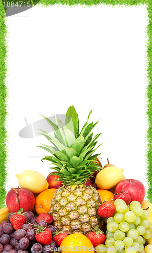 Image of Fresh fruit