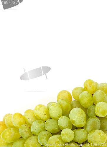 Image of Grape