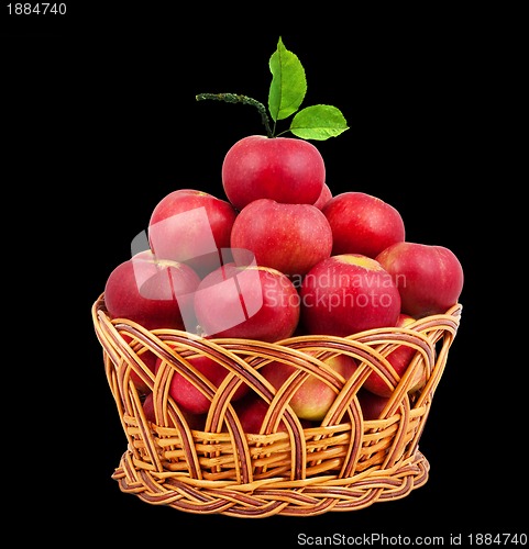 Image of 
Basket of apples