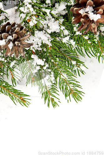 Image of Christmas framework with snow and cones