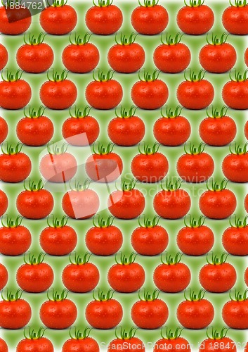 Image of Tomato