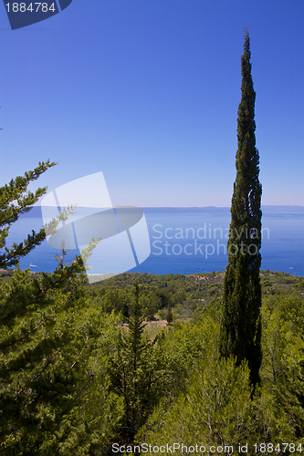 Image of Dalmatian coast