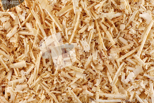 Image of Sawdust