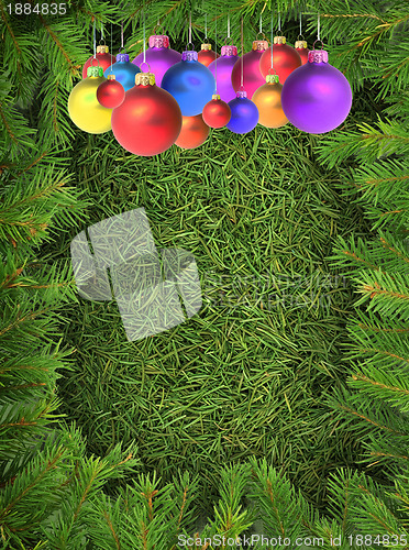 Image of Christmas spruce  texture