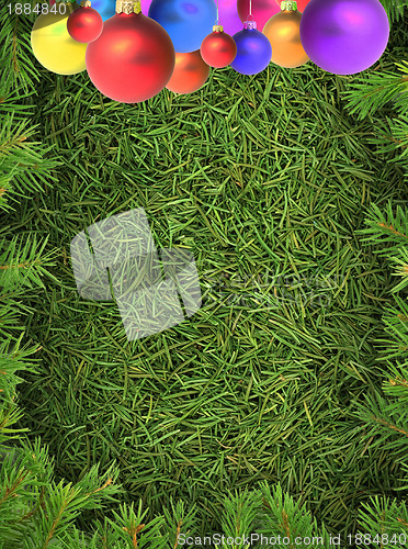Image of Christmas spruce  texture