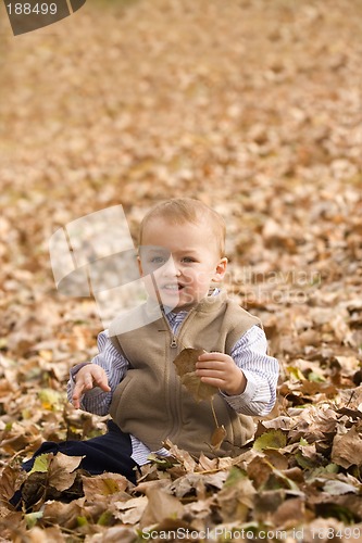 Image of Autumn play