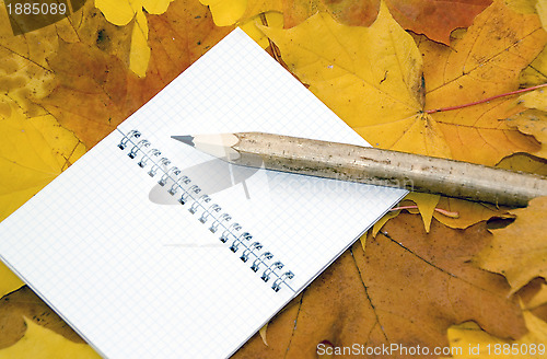 Image of Autumn leaves, notebook and pen. 
