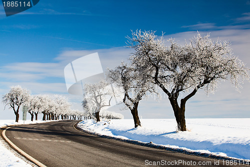 Image of Empty road