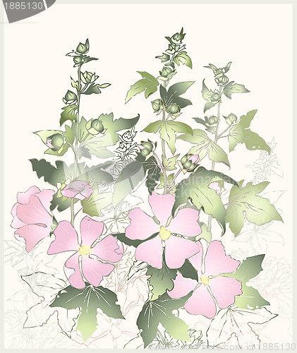 Image of Pink flowers mallow with green leaves. Greeting card with mallow.