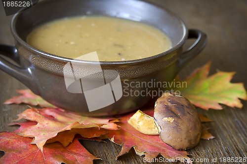 Image of Mushroom soup