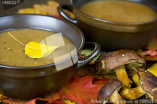 Image of Mushroom soup