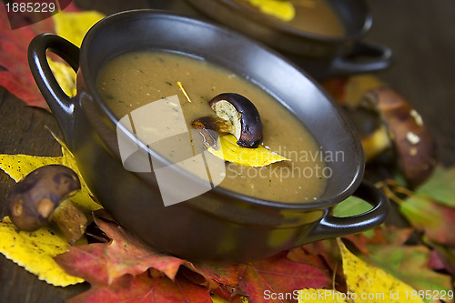 Image of Mushroom soup