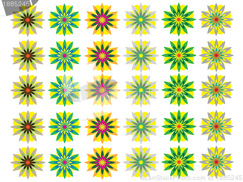 Image of Spring flowers