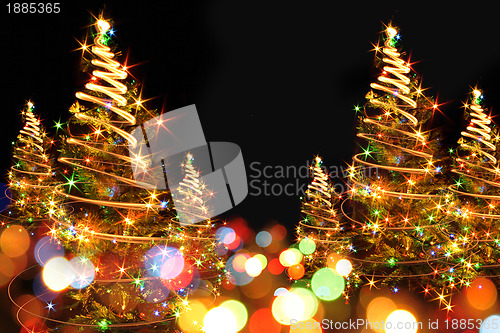 Image of xmas tree