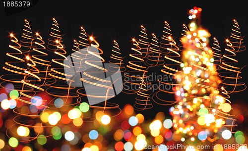 Image of xmas tree