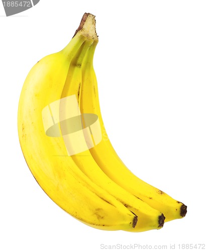 Image of Ripe bananas