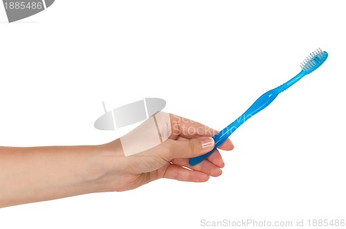 Image of Hand with tooth brush