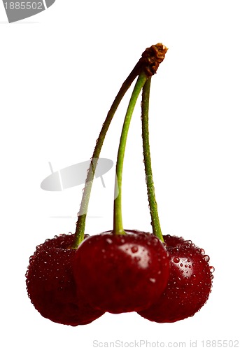 Image of Sweet cherries