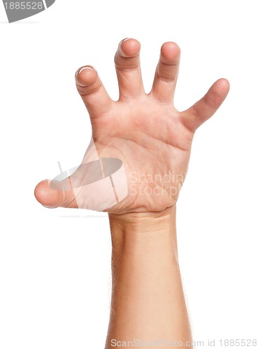 Image of Man hand