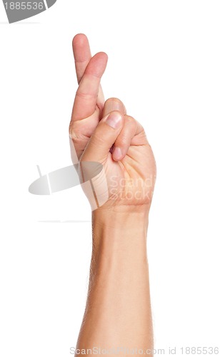 Image of Man hand