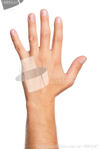 Image of Man hand