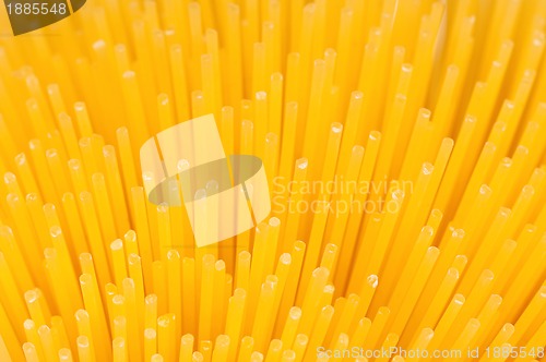 Image of Spaghetti