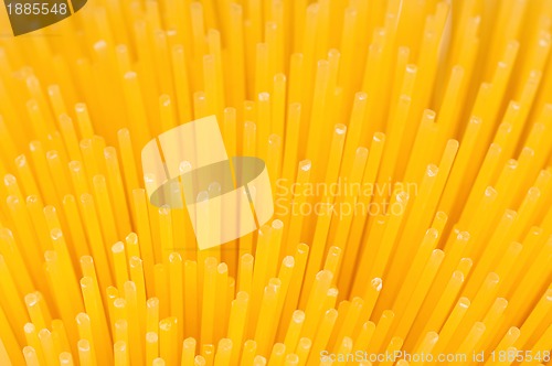 Image of Spaghetti