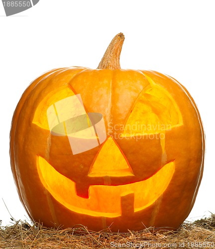 Image of Halloween pumpkin