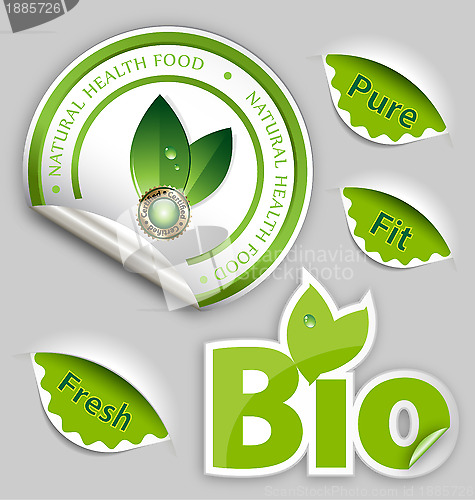 Image of Organic Food, Eco, Bio Labels and Elements