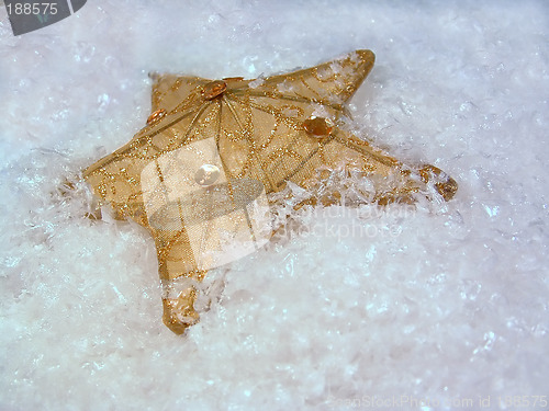 Image of Gold Star