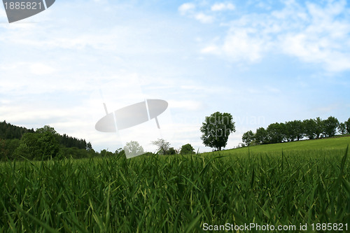 Image of Quiet Spring landscape