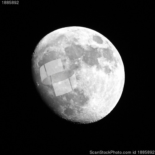 Image of Full moon