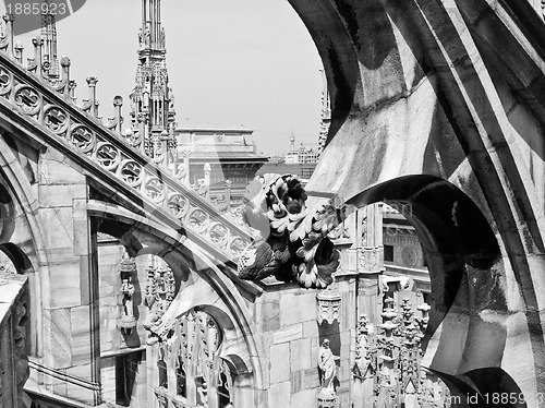 Image of Duomo, Milan
