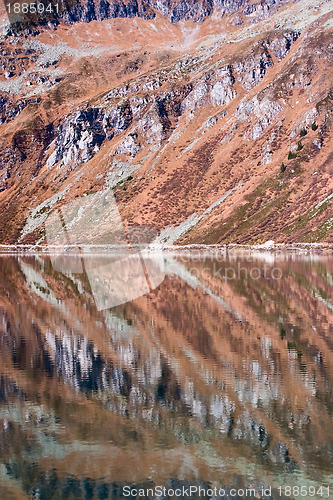Image of The reflection