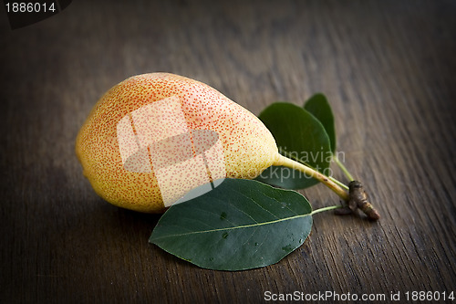 Image of Pear
