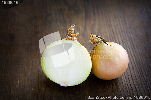 Image of Onion