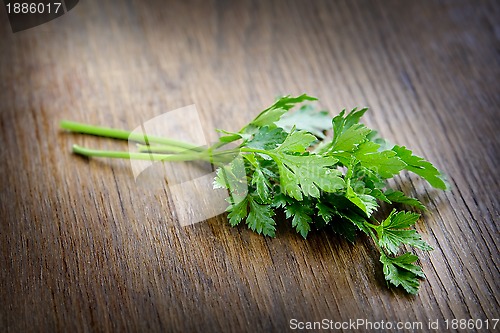 Image of Parsley