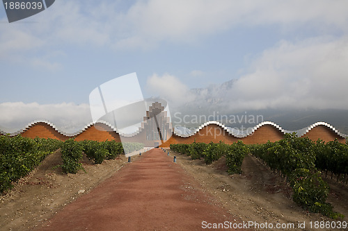 Image of Winery behind vineyard