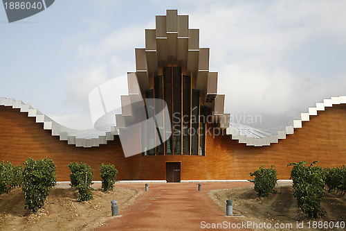 Image of Vineyard and winery