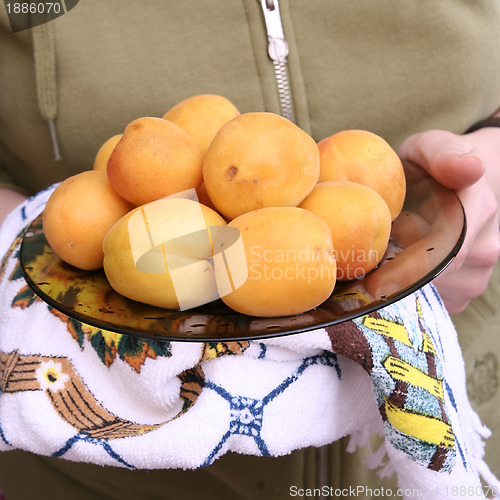 Image of Organic apricots