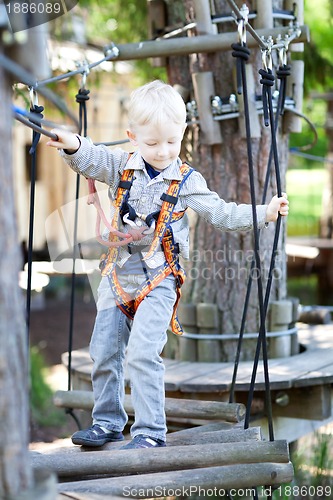 Image of little boy at a canopy tour