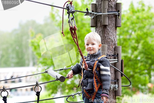 Image of little boy at a canopy tour