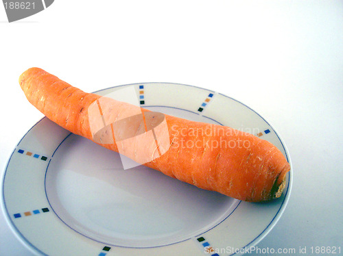Image of big carrot