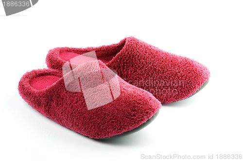 Image of Room Shoes