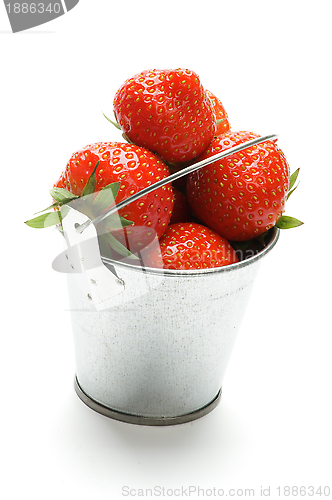 Image of Bucket with Strawberry