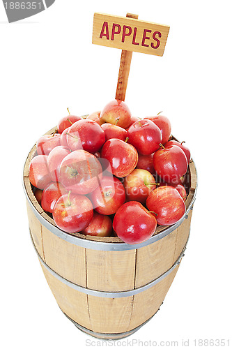 Image of Apple Barrel